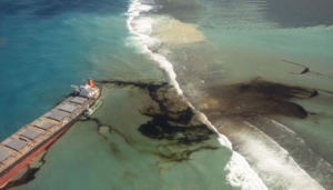 mauritius-oil-spill-the-response-from-civil-society