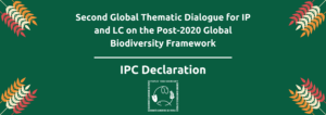 second-global-thematic-dialogue-for-indigenous-peoples-and-local-communities-on-the-post-2020-global-biodiversity-framework