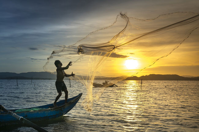 21 de Noviembre; Día mundial de la Pesca - Declaración del CIP