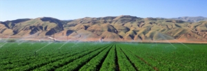 nouveau-partenariat-strategique-entre-la-fao-et-croplife-lettre-du-cip-au-directeur-general-de-la-fao