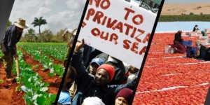 impact-of-market-prices-on-producers-and-consumers-food-sovereignty