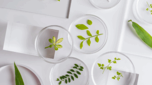 ipc-shows-the-way-to-stop-digital-biopiracy