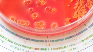 new-genomic-techniques-and-the-future-of-the-cartagena-protocol